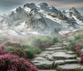 开云入口-v7.2.5 稳定更新正式发布，2026年5月10日，开启高效可靠新篇章